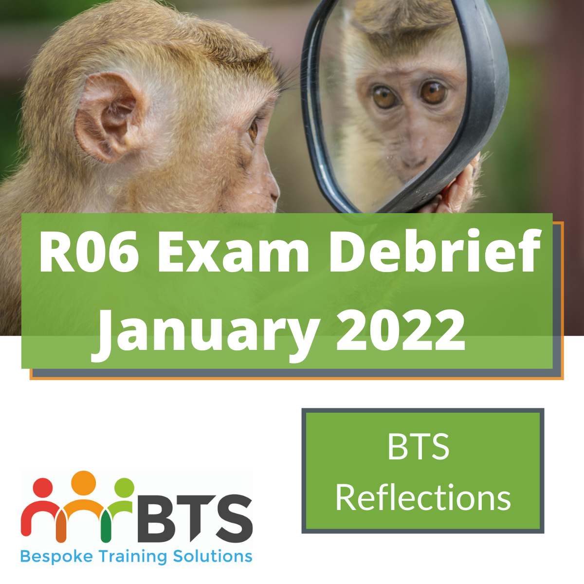 Primate looking into a car wing mirror with reflection with the words R06 exam debrief